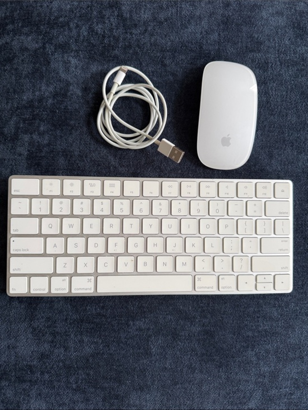 Apple Magic Keyboard and mouse with charging cable. Both are wireless